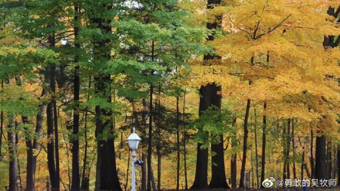 快手24小时在线下单免费